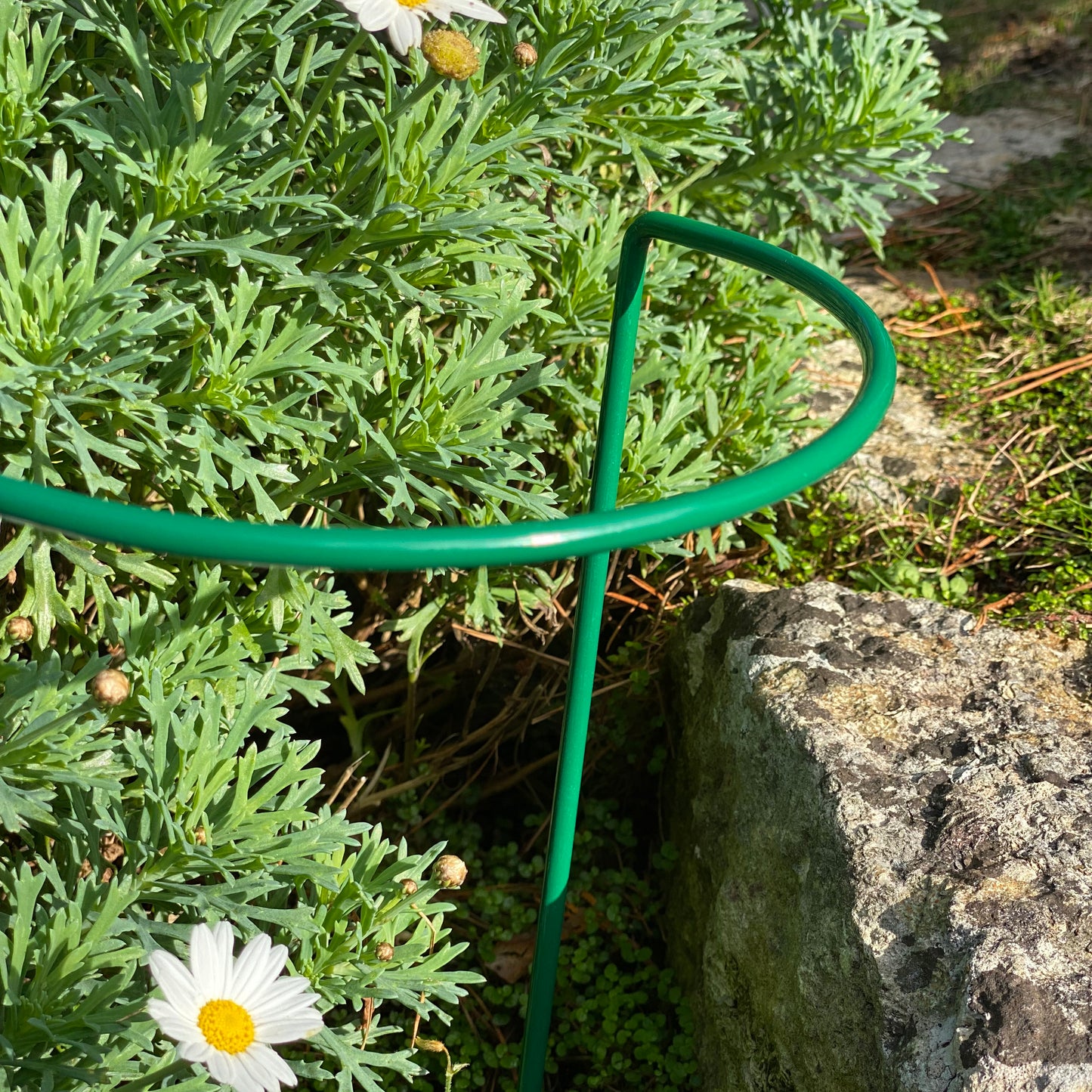 Garden Hoop Plant Bow Support System 20cm x 35cm (Pack of 2)