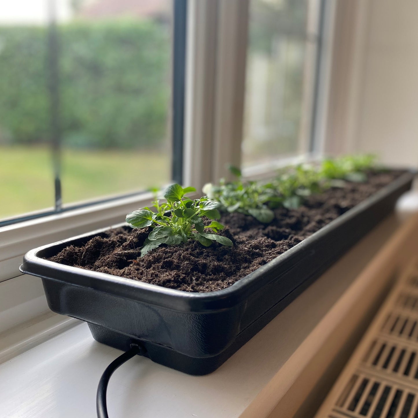 Jumbo Windowsill Heated Plant Propagator (80cm)