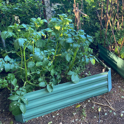Set of 3 x Metal Raised Vegetable Beds in Green (100cm x 30cm)
