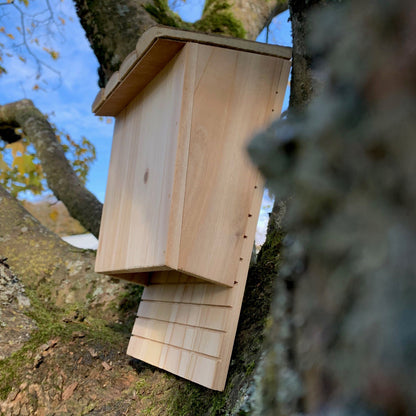 Set of 2 Large Wooden Bat Nesting Roosting Boxes