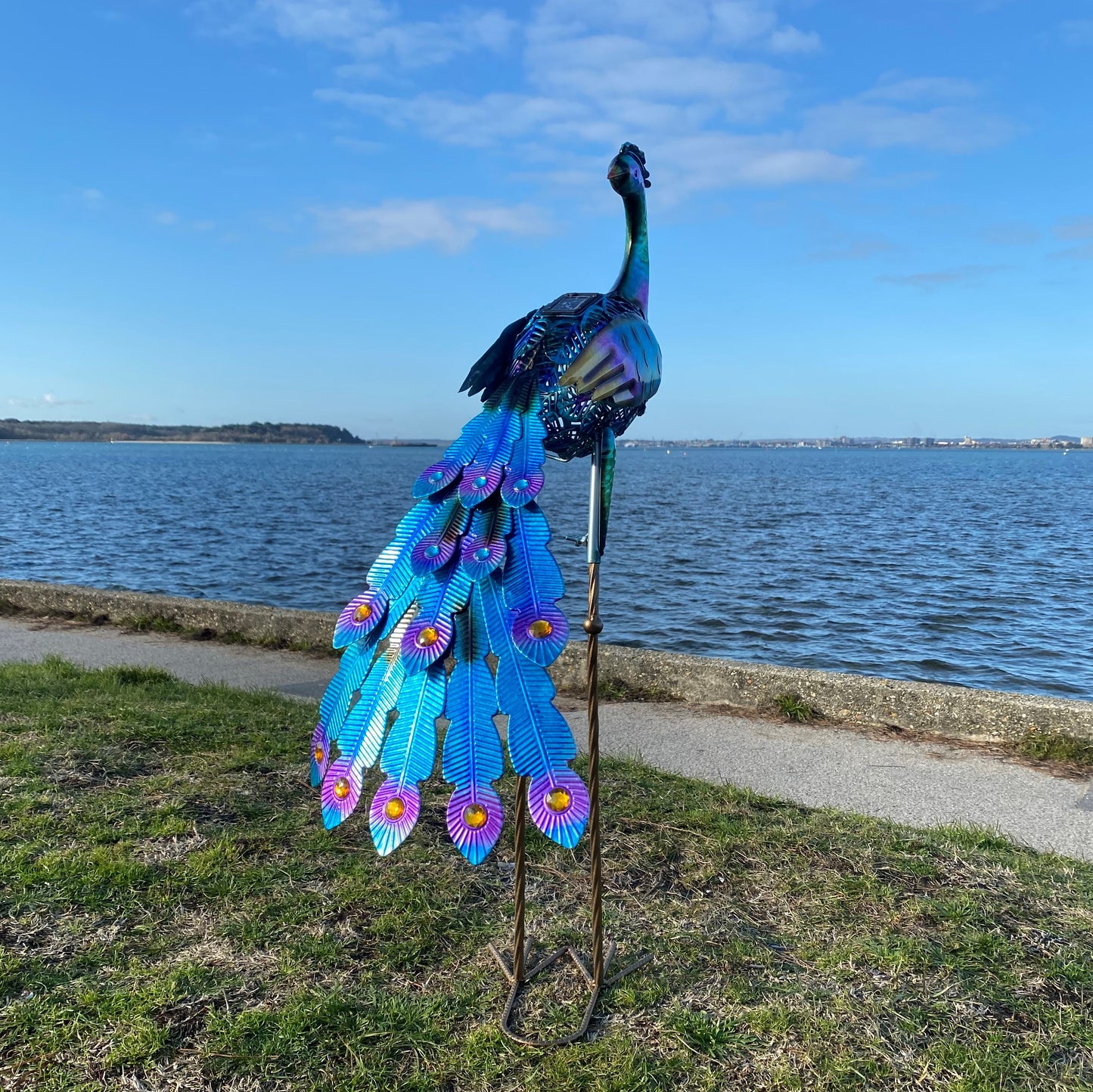 Tall Peacock Solar Light Garden Ornament