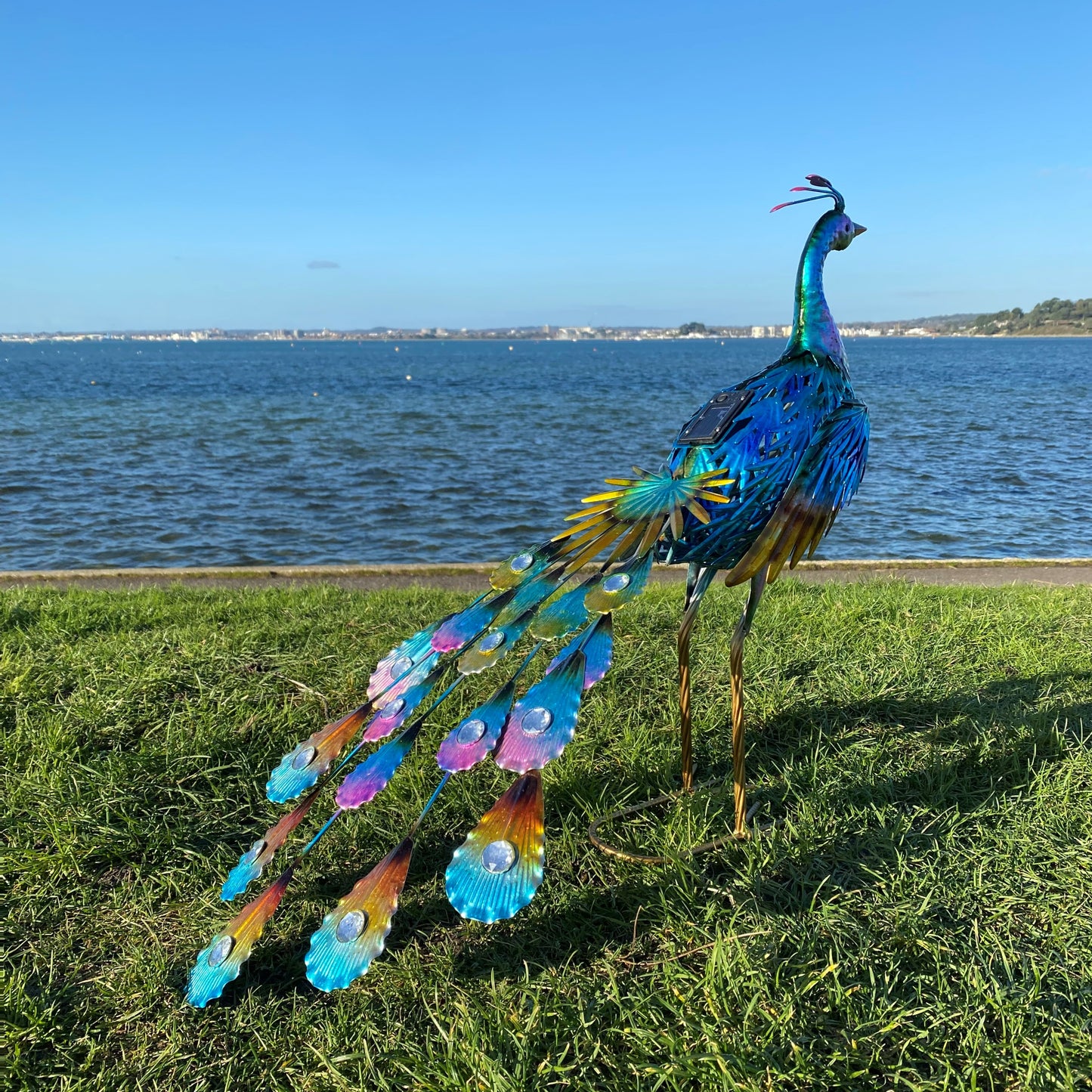 Strutting Peacock Solar Light Garden Ornament