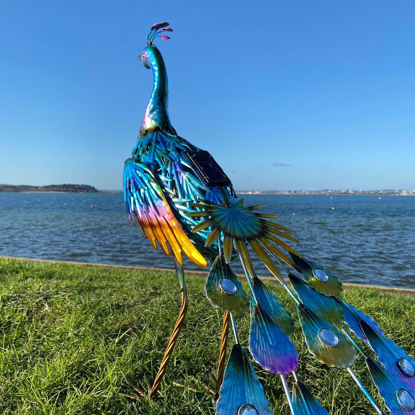 Strutting Peacock Solar Light Garden Ornament