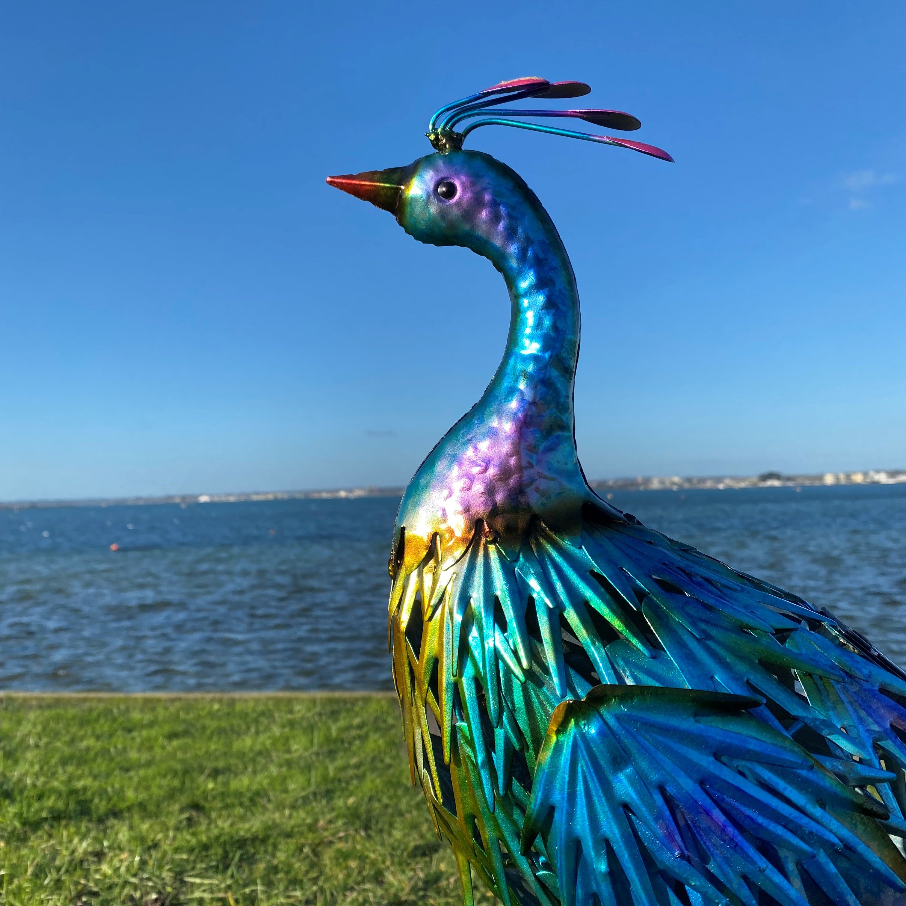 Peacock garden outlet ornament