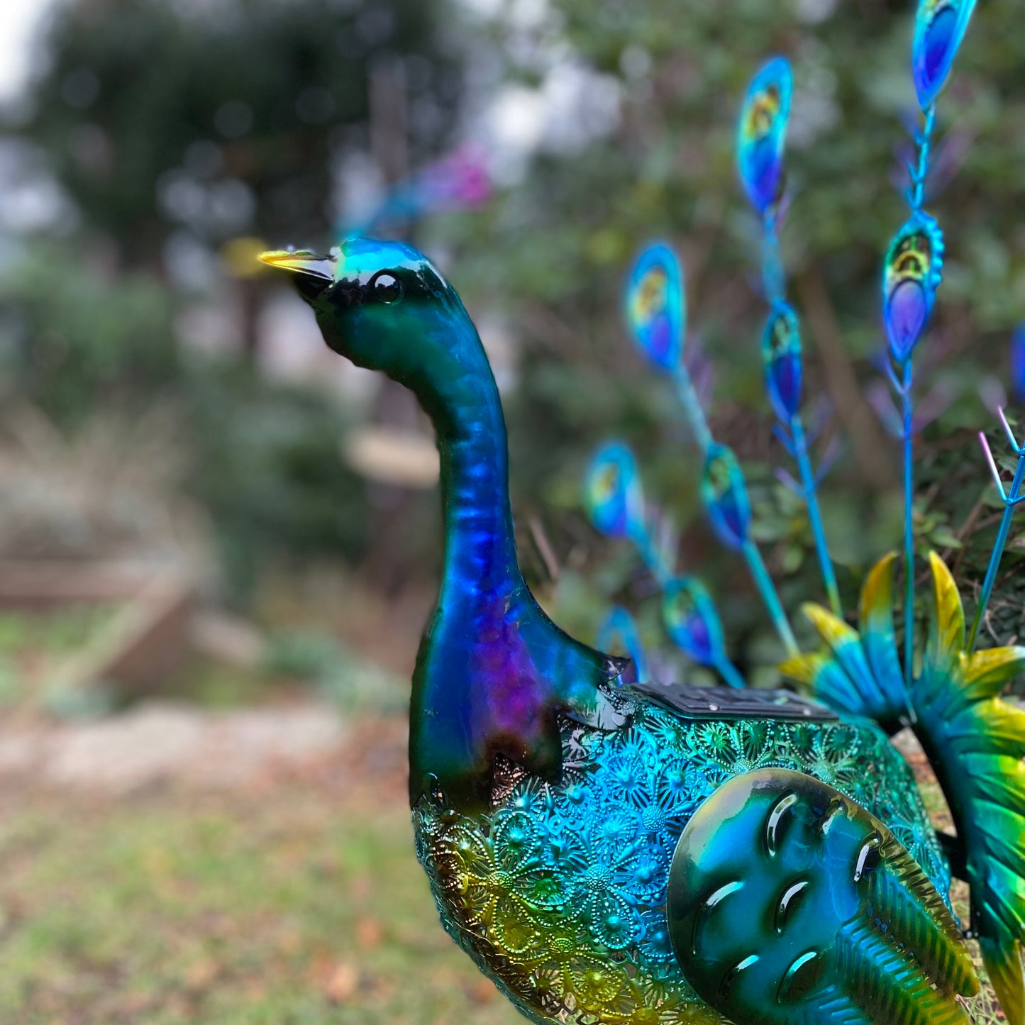 Fan Tail Peacock Solar Light Garden Ornament