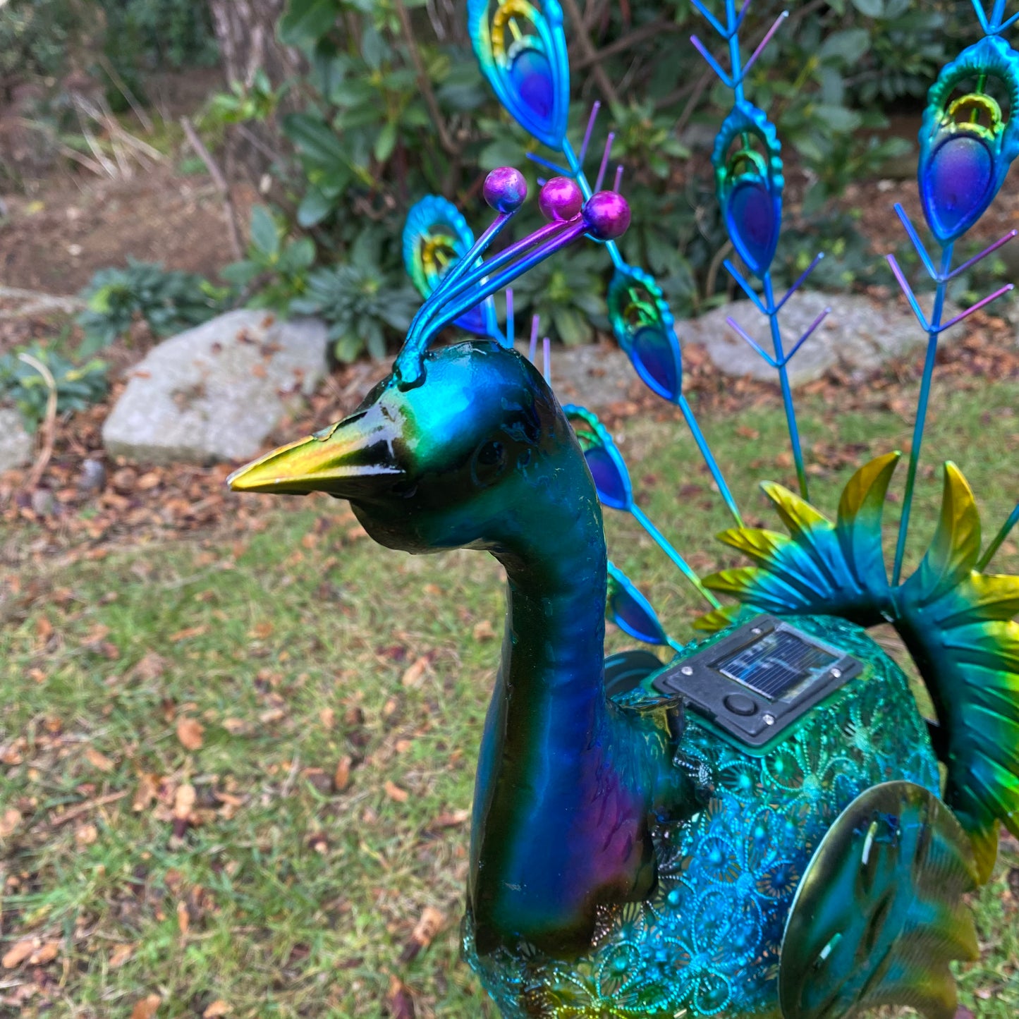 Fan Tail Peacock Solar Light Garden Ornament