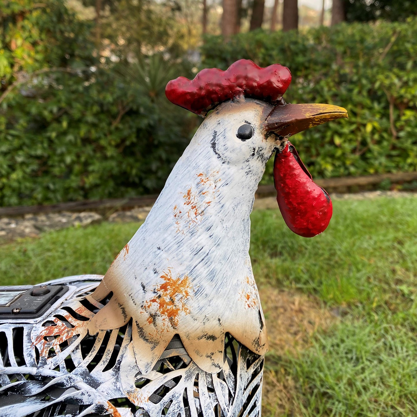 Hen Solar Light Garden Ornament