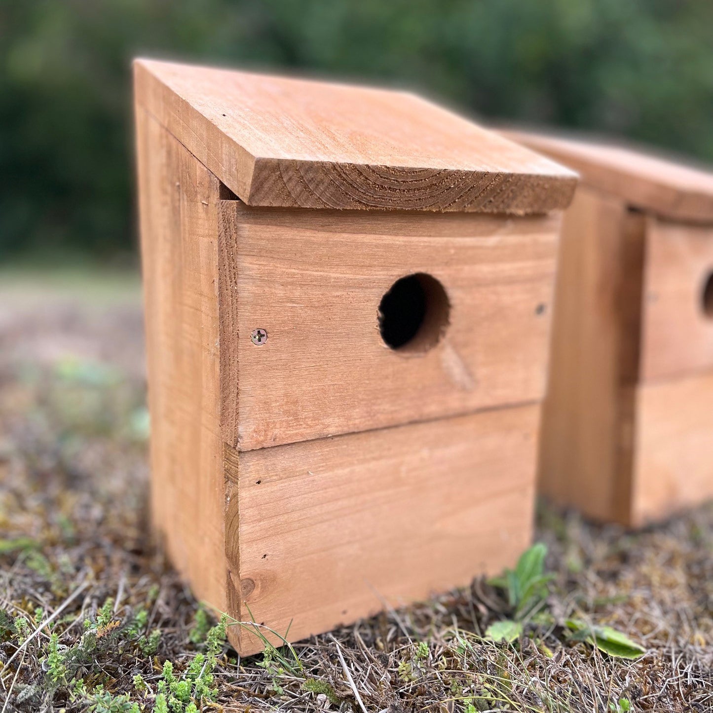 Wooden Multi-Hole Wild Bird Classic Nest Birdhouse Boxes (Set of 2)