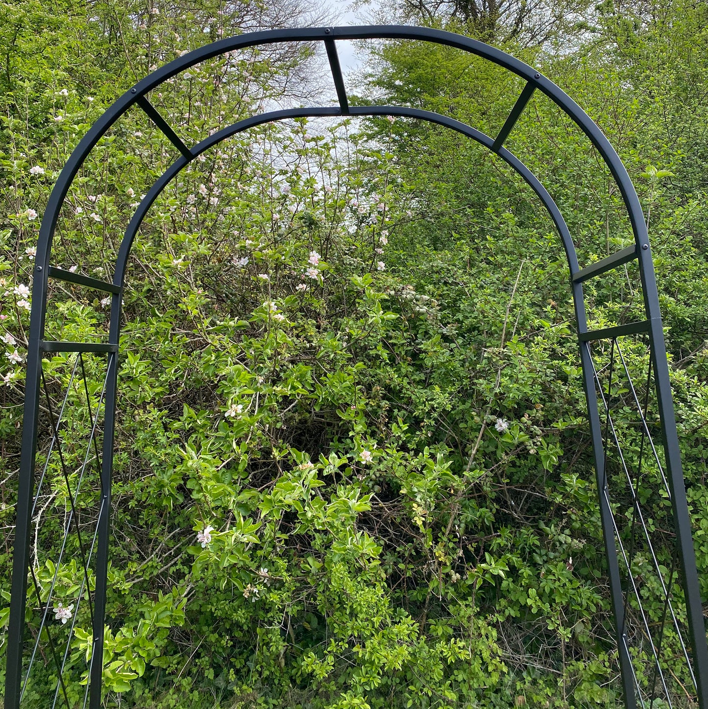 Metal Knightsbridge Garden Arch