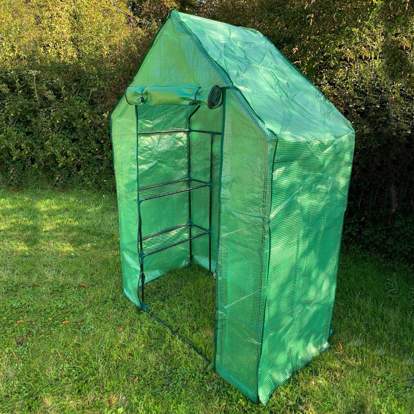Walk In Greenhouse with Reinforced Cover