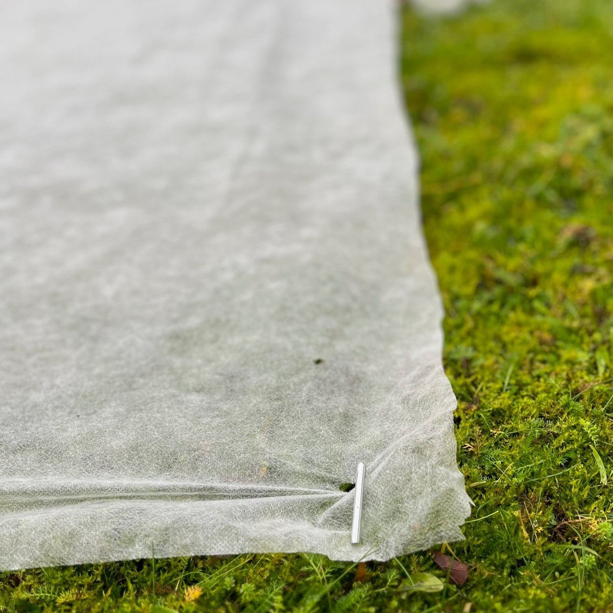 Fleece Garden Plant Frost Protection Sheet 2m x 20m + 10 Metal Pegs (2