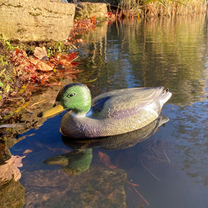 Mallard Duck Hunting Shooting Floating Decoy Pond Decoration Large (Set of 3)
