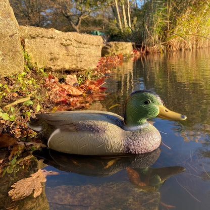 Mallard Duck Hunting Shooting Floating Decoy Pond Decoration Large