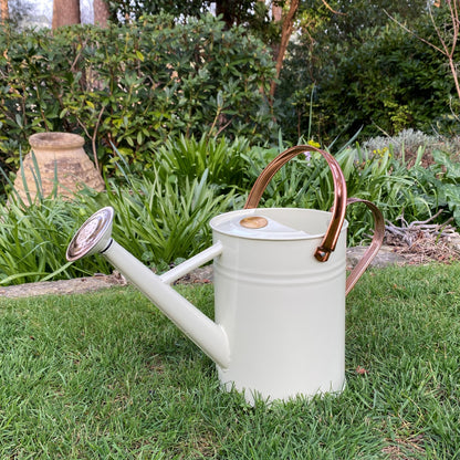 Rose for 3.5 Litre Heritage Cream Watering Can GFJ156