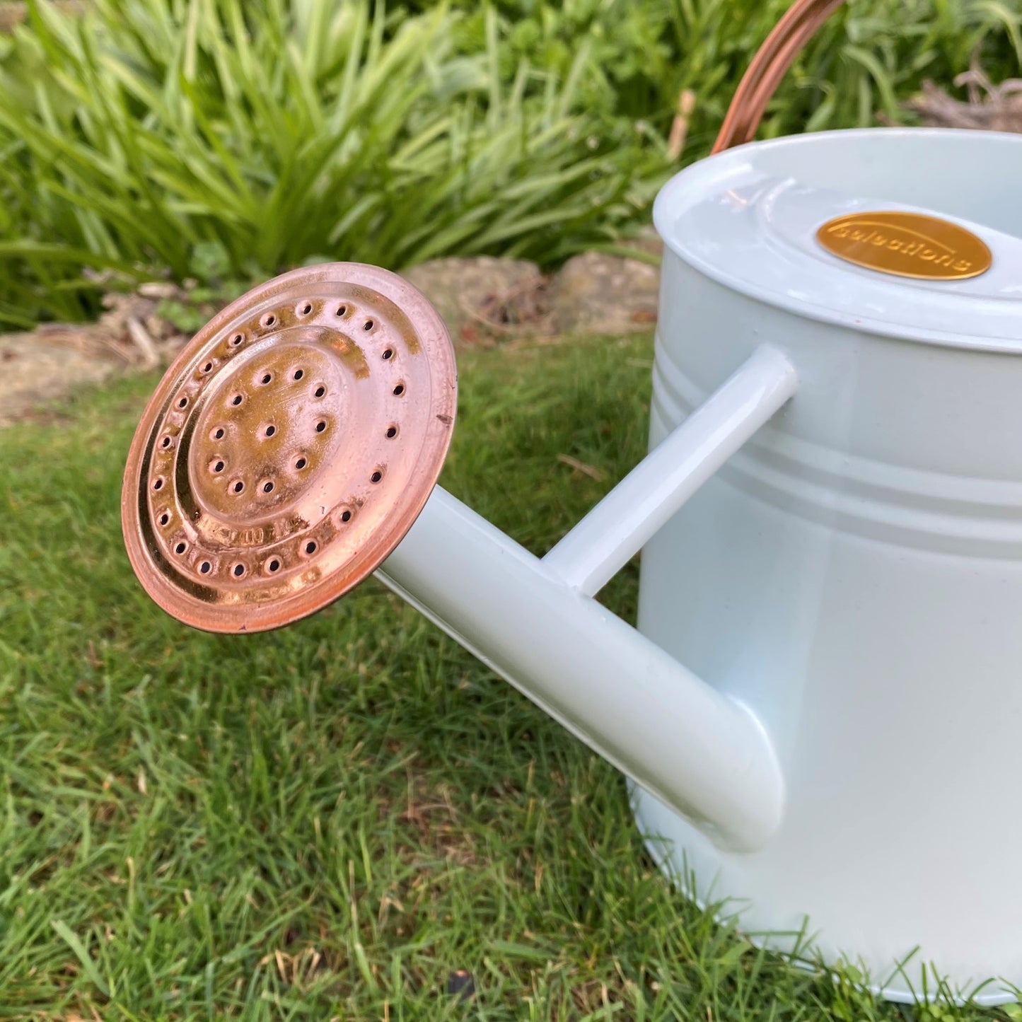 Rose for 3.5 Litre Ivory and Copper Watering Can GFJ157