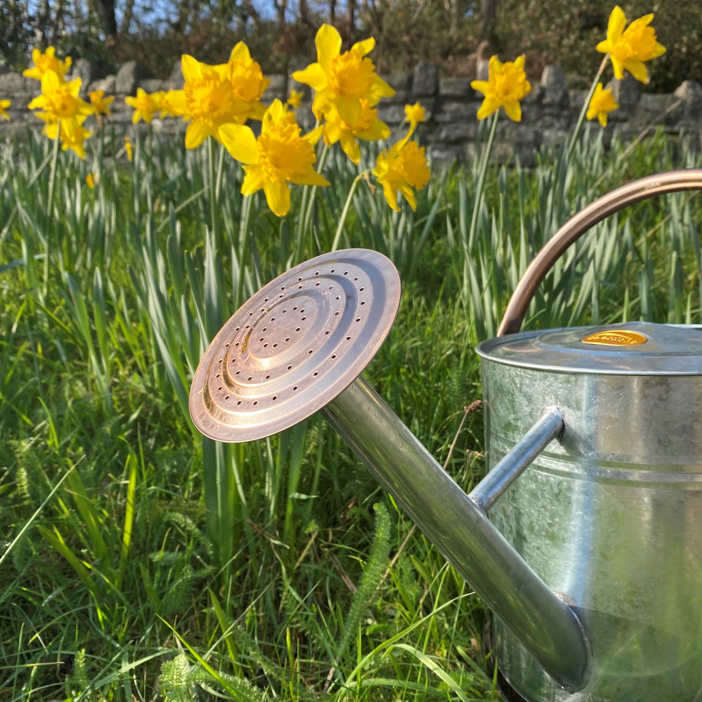 Silver & Copper Trim Metal Watering Can with Rose (9 Litre)