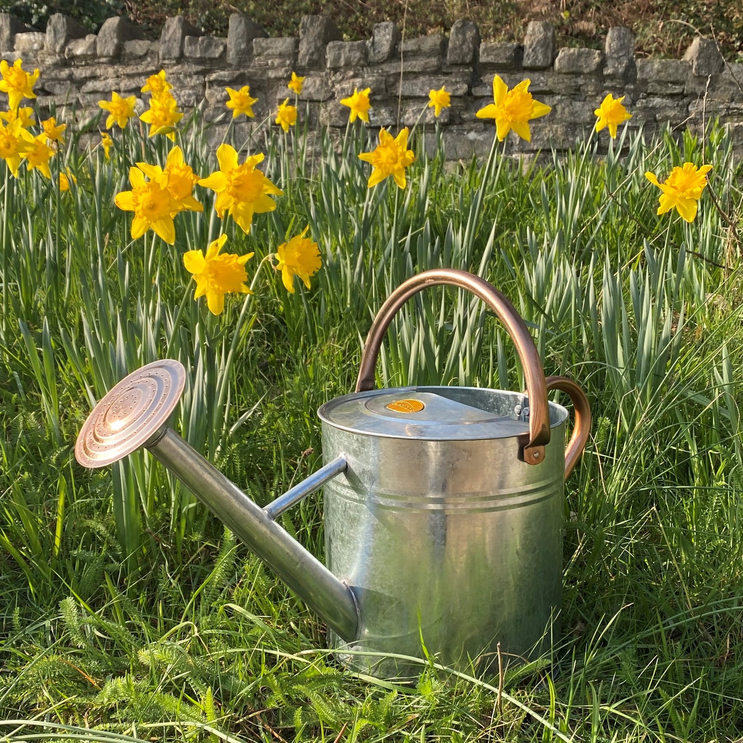 Silver & Copper Trim Metal Watering Can with Rose (9 Litre)