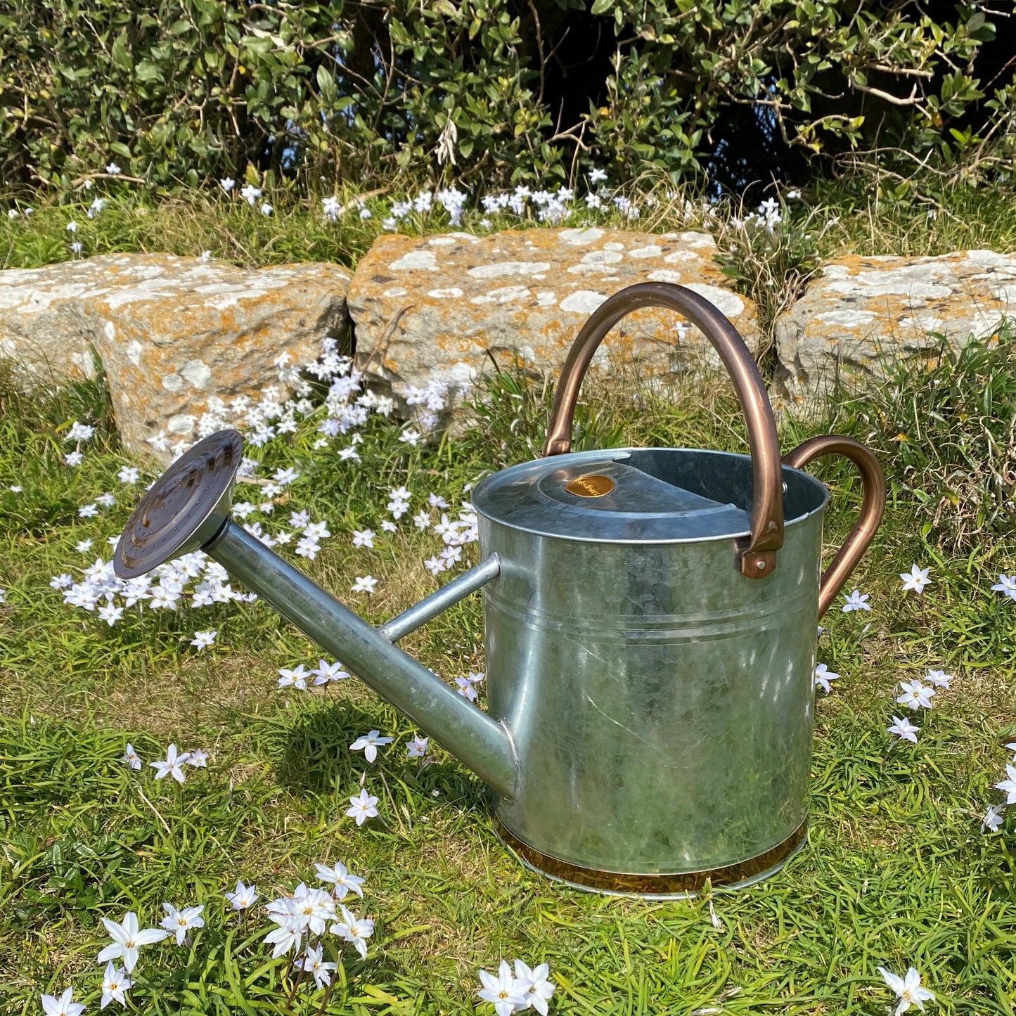 Silver & Copper Trim Metal Watering Can with Rose (9 Litre)