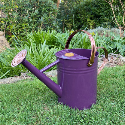 Rose for 3.5 Litre Heather and Copper Watering Can GFJ159