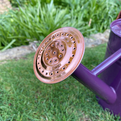 Rose for 3.5 Litre Heather and Copper Watering Can GFJ159