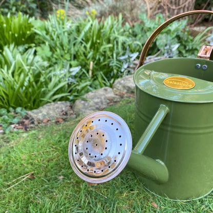 Rose for 3.5 Litre Tweed Watering Can GFJ160