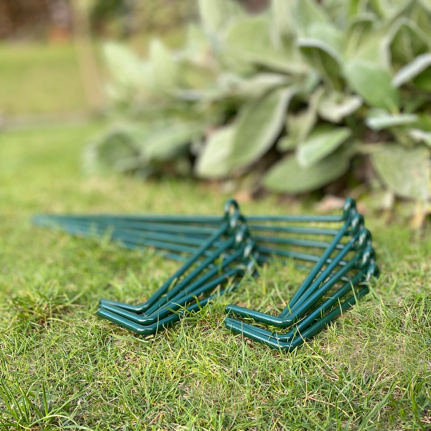 Garden Linked Metal Plant Support for Herbaceous Plants 70cm x 30cm (Pack of 10)