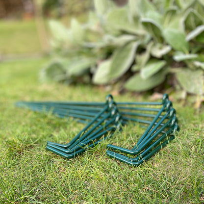 Garden Linked Metal Plant Support for Herbaceous Plants 70cm x 30cm (Pack of 10)