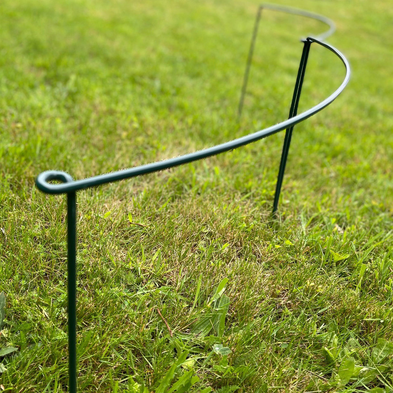 Garden Extra Wide Hoop Plant Bow Support System 60cm x 40cm (Pack of 4)