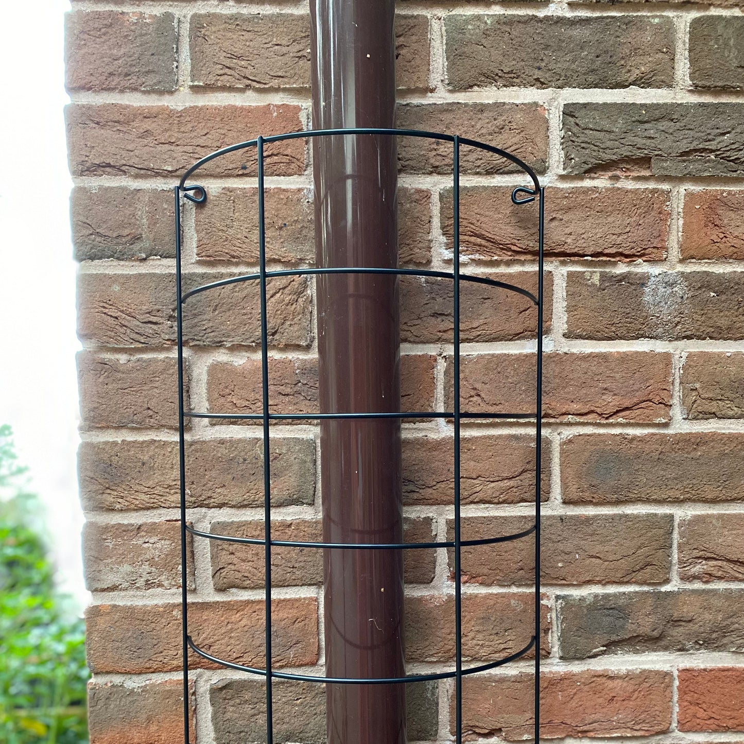 Large Metal Tube Trellis Semi Circular for Drainpipes (Set of 2)