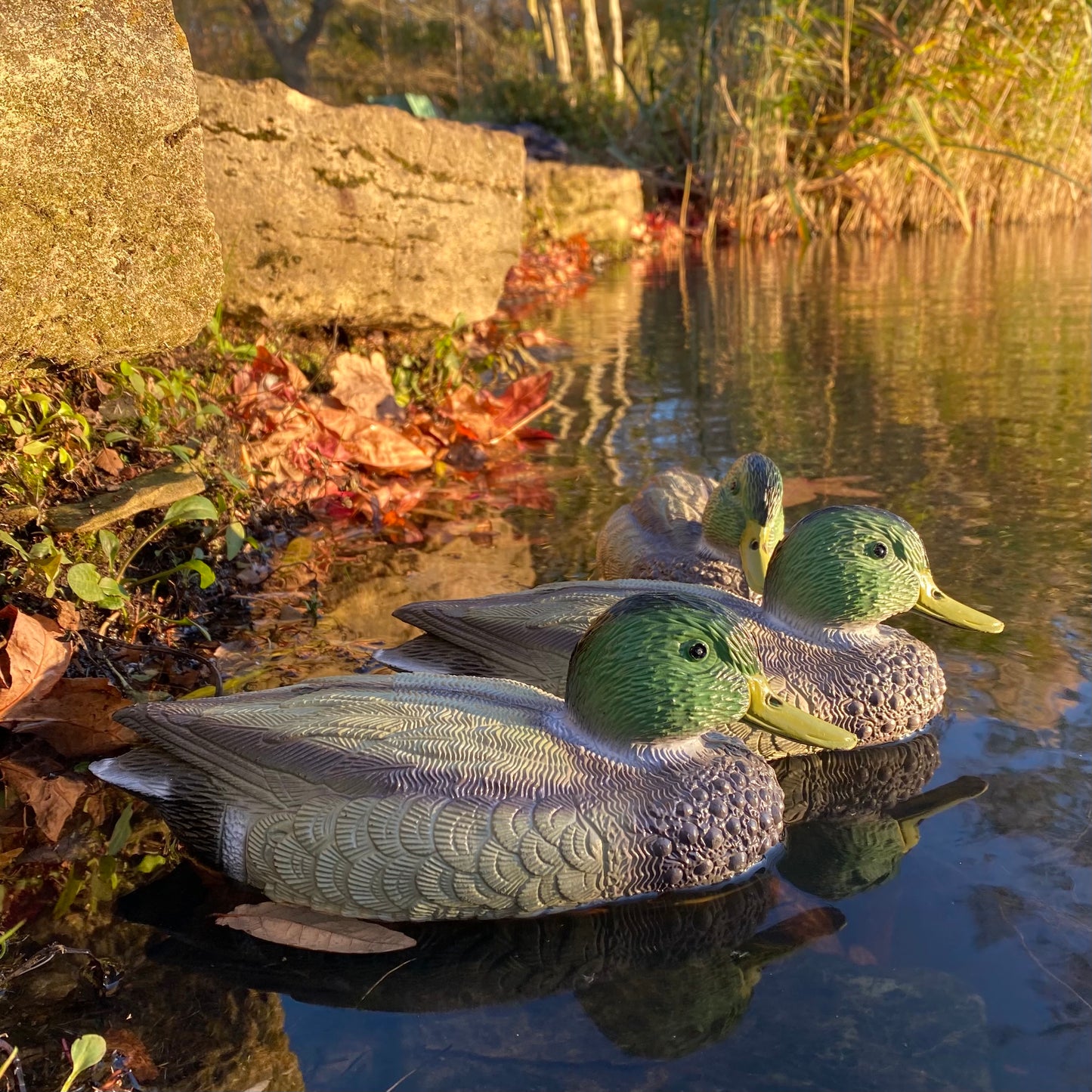 Mallard Duck Hunting Shooting Floating Decoy Pond Decoration (Set of 3)