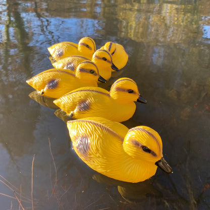 Decorative Plastic Floating Yellow Pond Ducklings (Pack of 6)