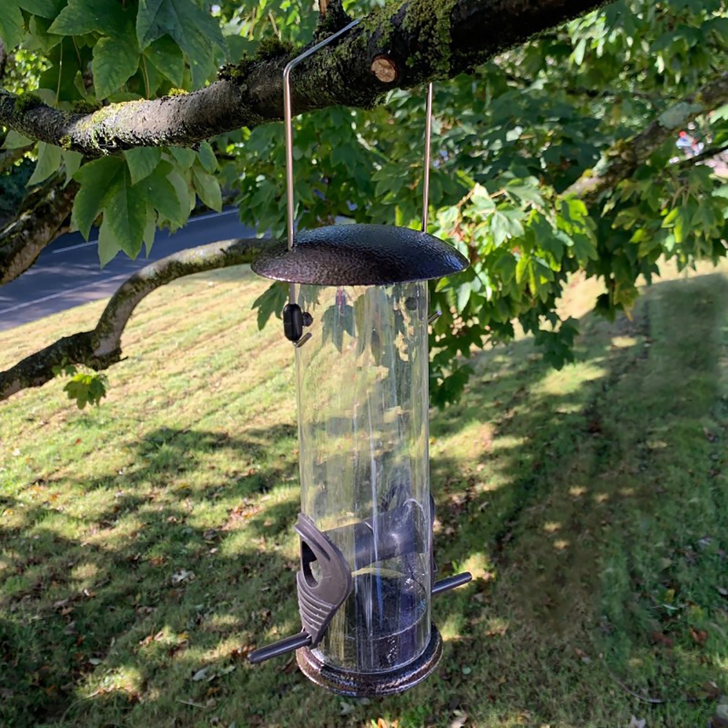 Metal Bird Feeding Station with 2 Feeders, Mealworm Tray and Water Dish