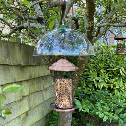 Squirrel Proof Baffle Protection for Wild Bird Feeders