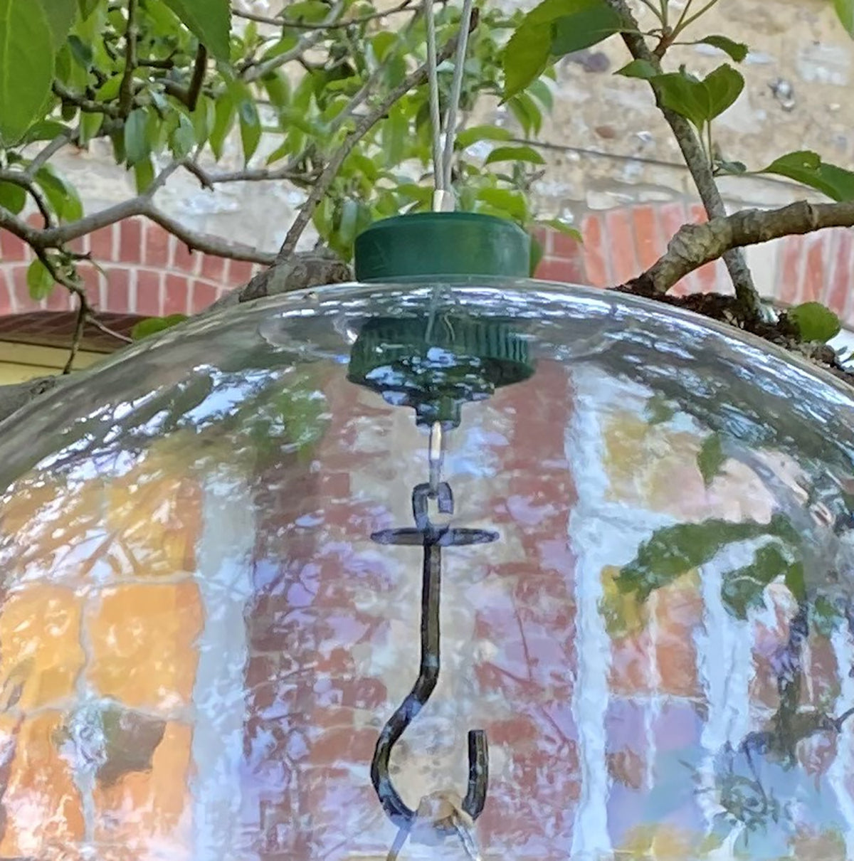 Bird Feeding Station Squirrel Baffle, Extension Pole & Patio Stand Pack