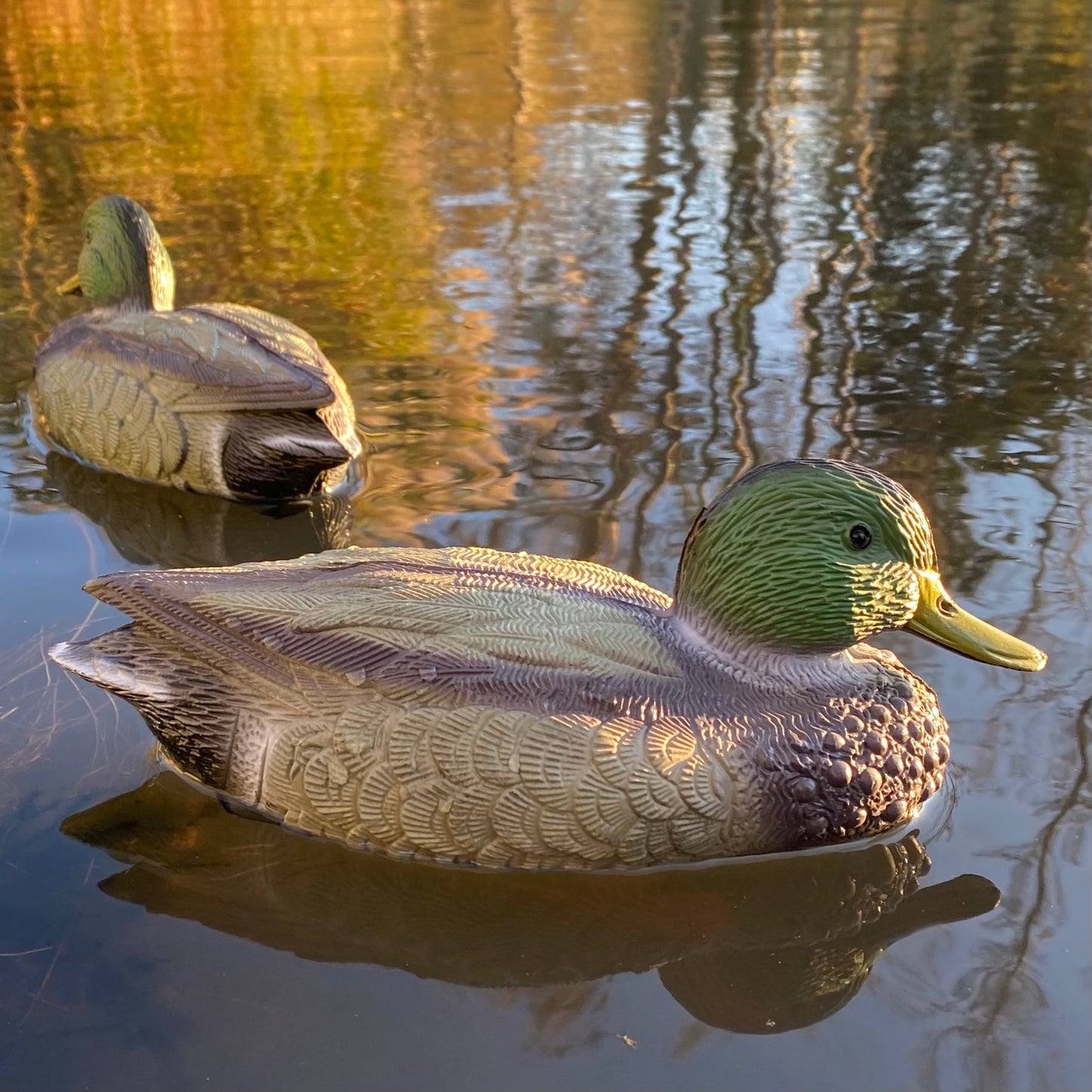 Mallard Duck Hunting Shooting Floating Decoy Pond Decoration Large (Set of 6)