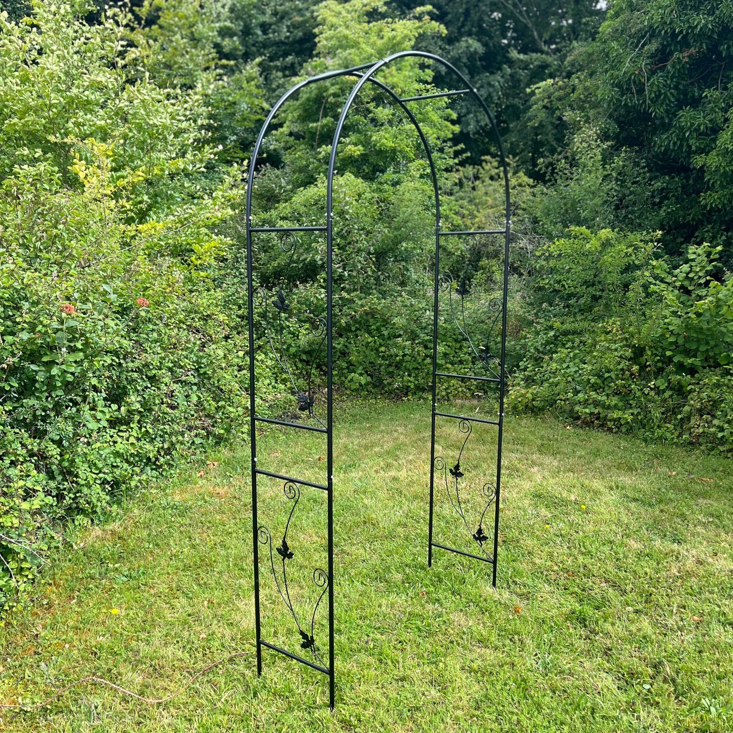 Metal Weatherbury Leaf Scroll Arch Garden Arch