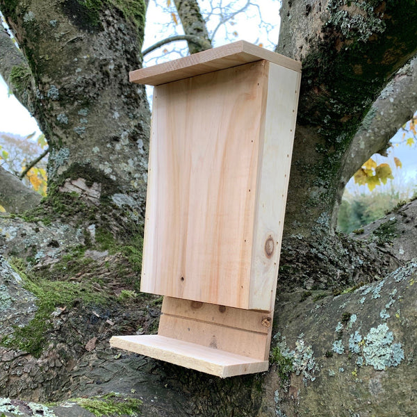 Wooden Bat Box House Rooster Nest with Landing Perch – Selections
