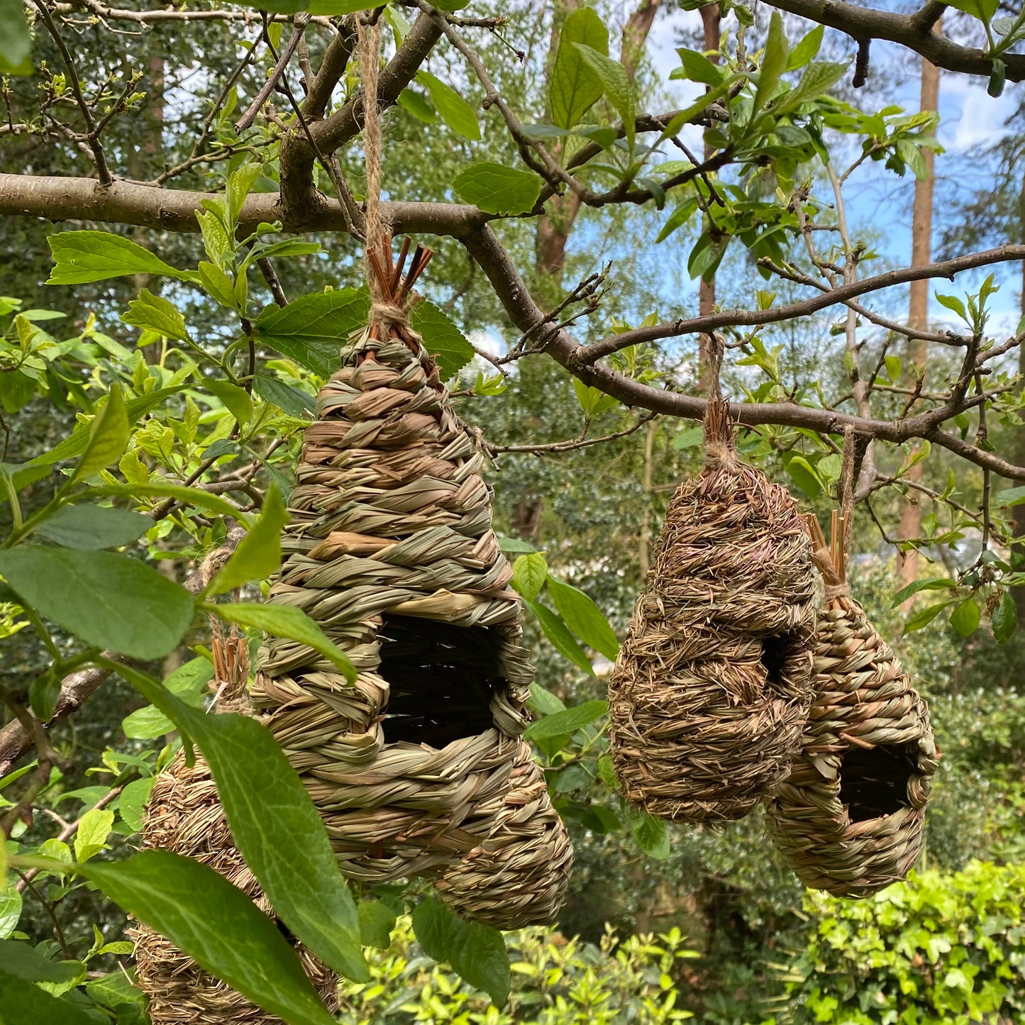 Hanging Bird Nest Box, Insect Hotel & Butterfly House & Wild Bird Roosting Habitat Pack