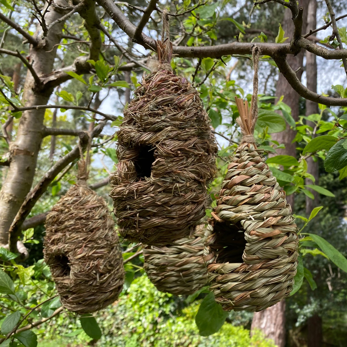 Hanging Bird Nest Box, Insect Hotel & Butterfly House & Wild Bird Roosting Habitat Pack