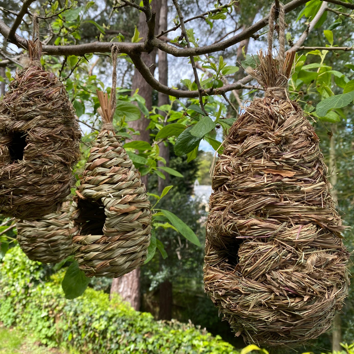 Hanging Bird Nest Box, Insect Hotel & Butterfly House & Wild Bird Roosting Habitat Pack