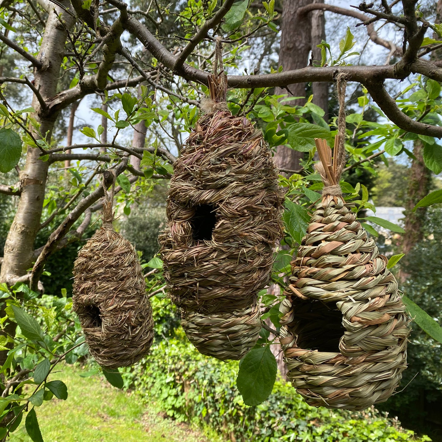 Hanging Bird Nest Box, Insect Hotel & Butterfly House & Wild Bird Roosting Habitat Pack