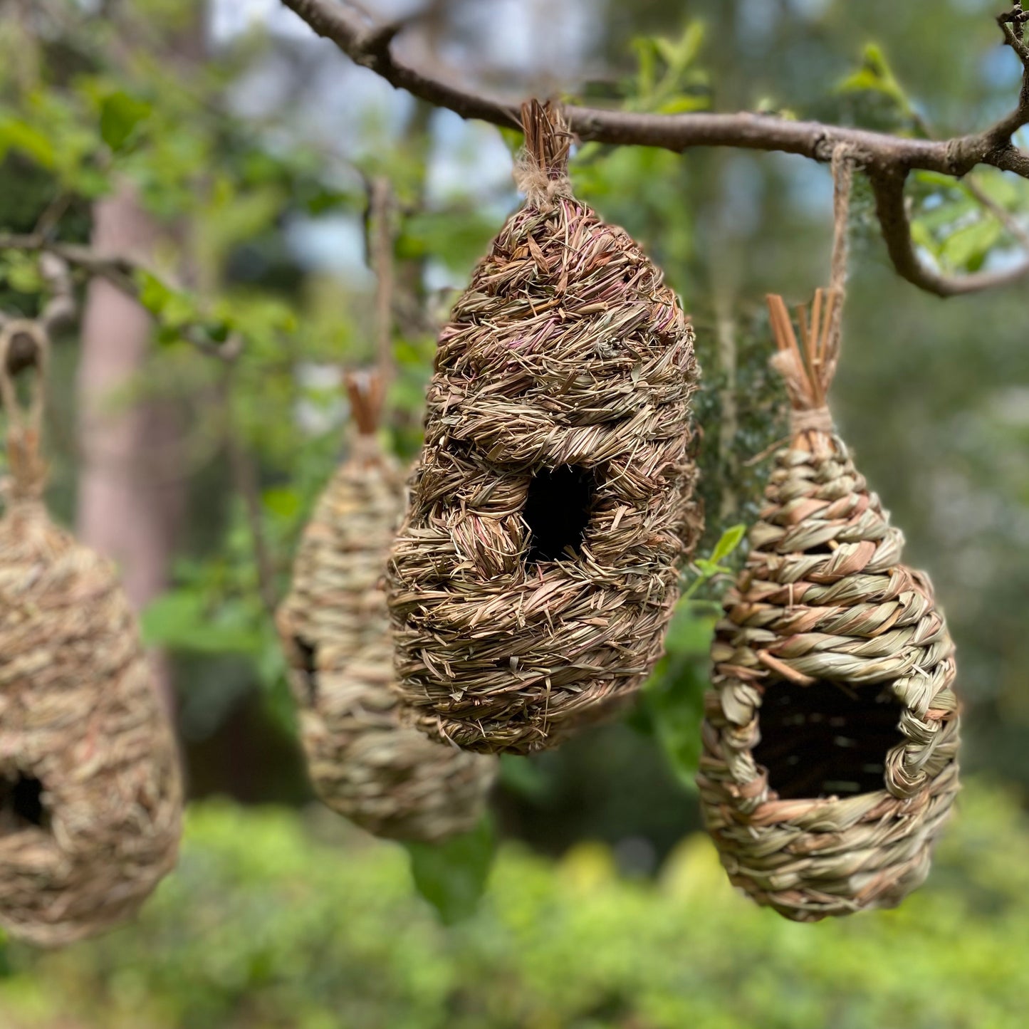 Straw and Raffia Bird Roosting Pouches (Set of 6)