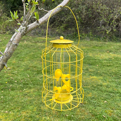 Hanging Squirrel Proof Nut, Seed & Fat Ball Bird Feeders (Set of 3)