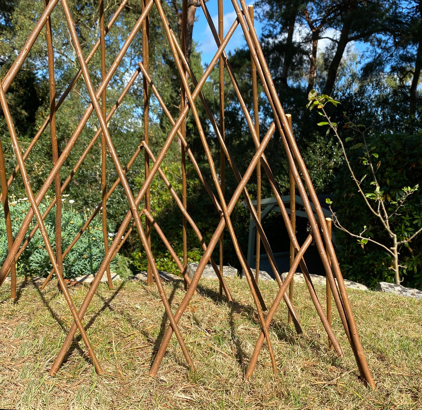 Set of 3 Expanding Willow Garden Obelisks (1.2m)