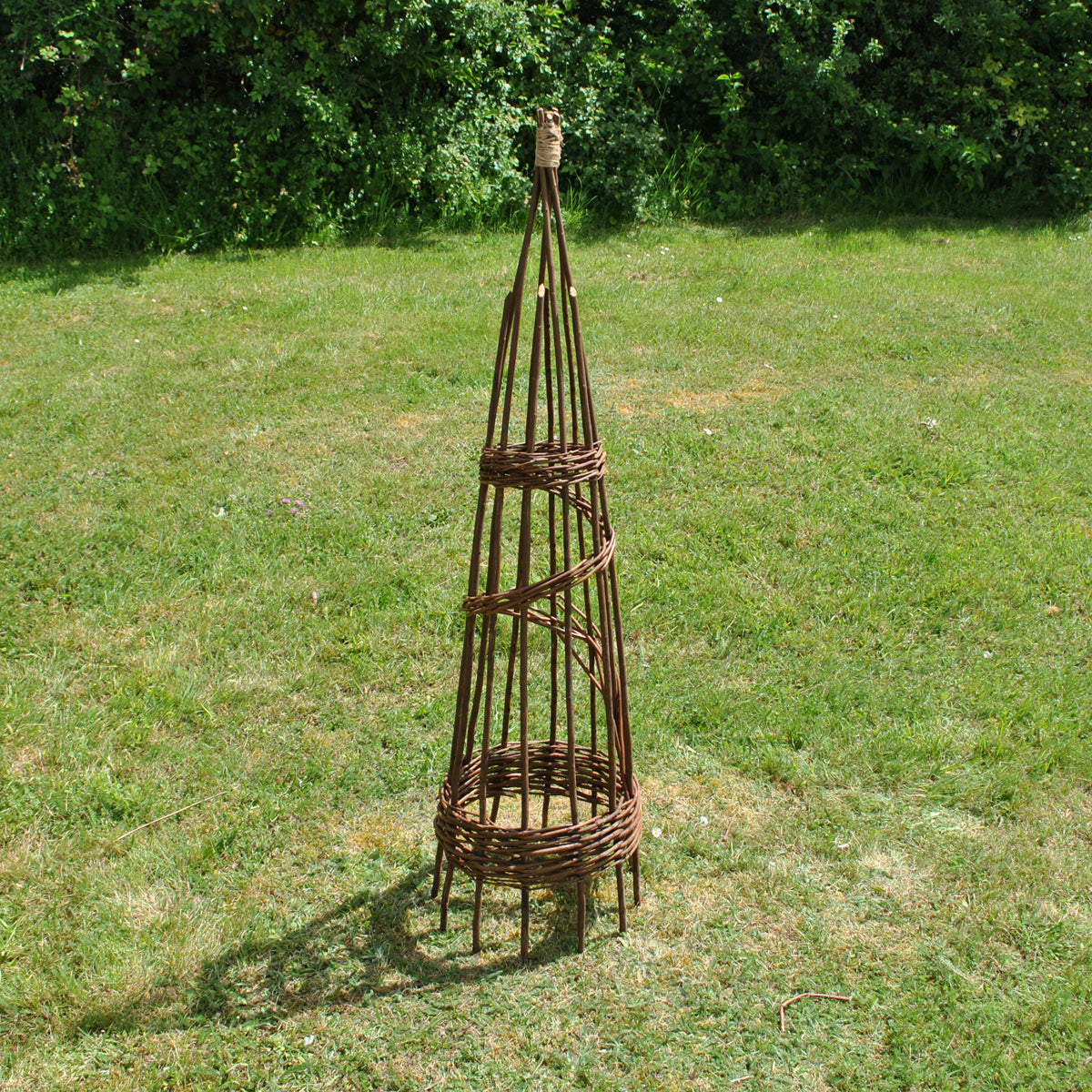 Spiral Willow Garden Obelisk (1.2m)