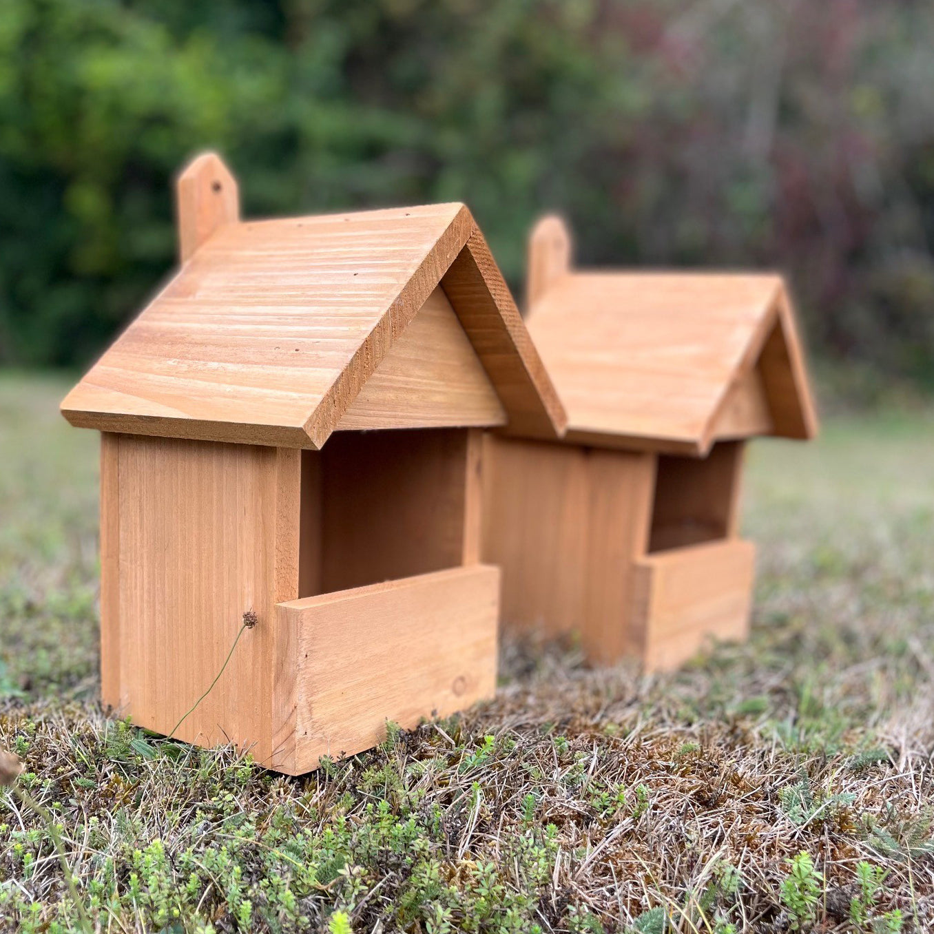 Large Wooden Robin Birdhouse Garden Nest Boxes (Set of 2)