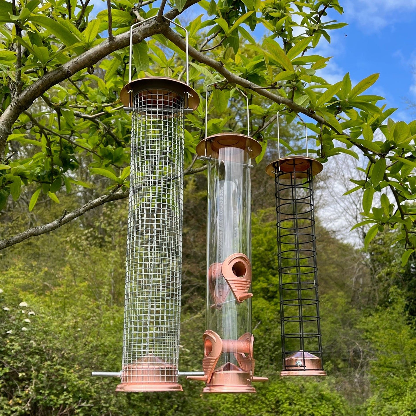 Deluxe Complete Metal Bird Feeding Station with Large Copper Style Feeders & Baffle