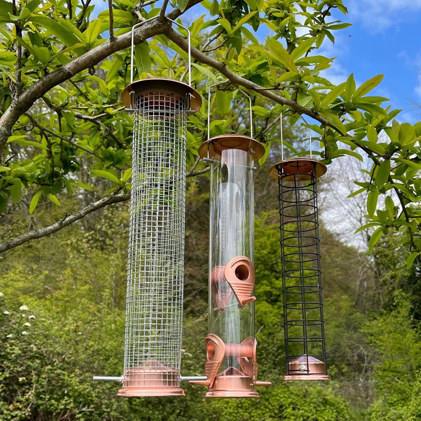 The Crichel Set of Bird Feeders Seed, Nut and Fatball (Set of 6)