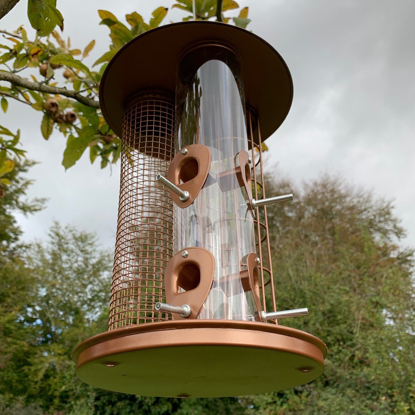 Delux 3 in 1 Seed, Nut and Fatball Bird Feeder