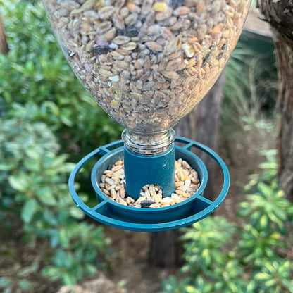 Bottle Top Bird Seed Feeders (Set of 6)